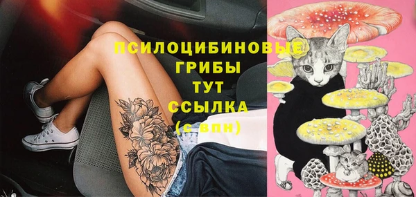 PSILOCYBIN Нефтекумск