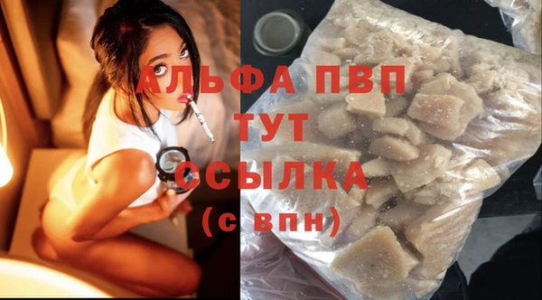 PSILOCYBIN Нефтекумск