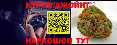мдпв Гусев