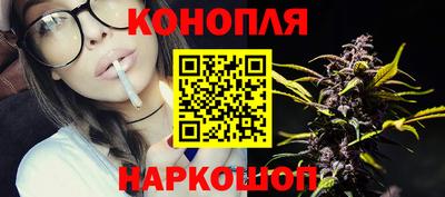 прущие грибы Балаково