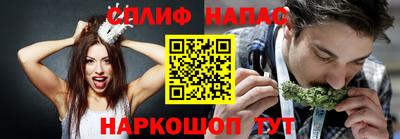 прущие грибы Балаково