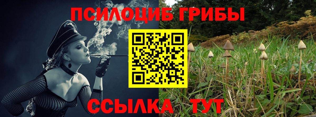 Галлюциногенные грибы MAGIC MUSHROOMS  Галлюциногенные грибы MAGIC MUSHROOMS  Вход с VPN  Нижневартовск 