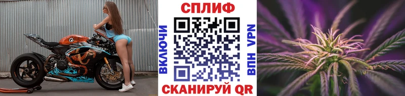 Бошки марихуана сатива Нижневартовск